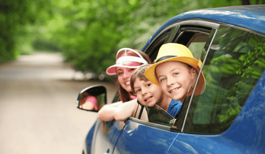 Tours and Sightseeing Services